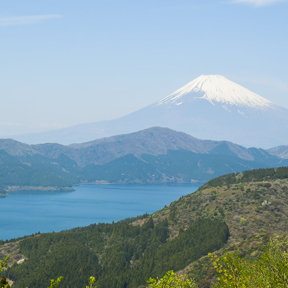 富士山と売り切れによるポップアップ終了のお知らせ